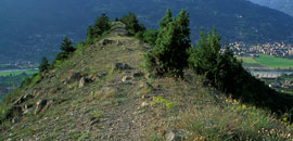 Riserva naturale    Côte de Gargantua