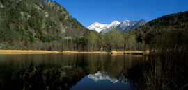 The Lake of Villa Natural Reserve 