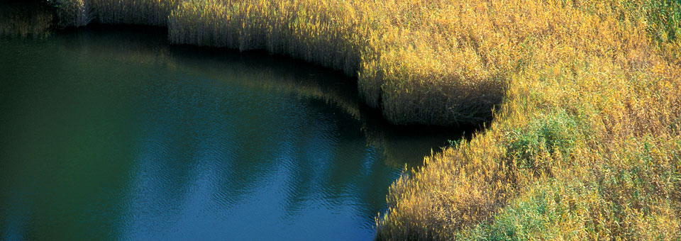 riserve naturali lago villa