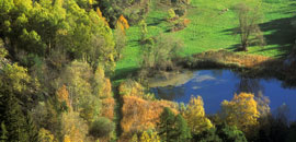 Réserve Naturelle Lac de Lolair