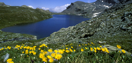 The Mont Avic natural Park
