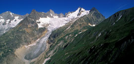 Glacial environments of the Mont Blanc