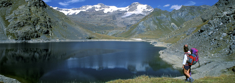 monte rosa gressoney