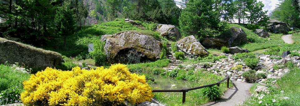 giardino paradisia valle d aosta