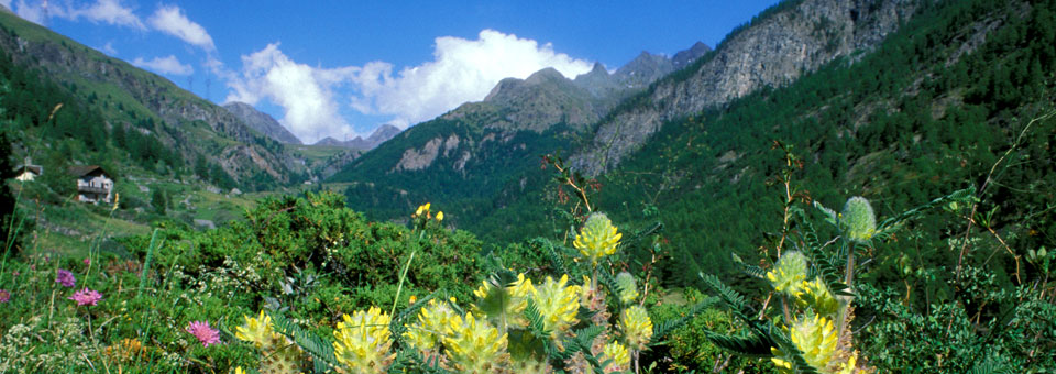 giardino botanico gran paradiso