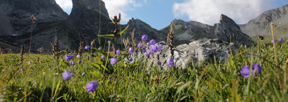 san bernardo valle d aosta