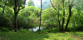 Réserve Naturelle Etang d’Holey 