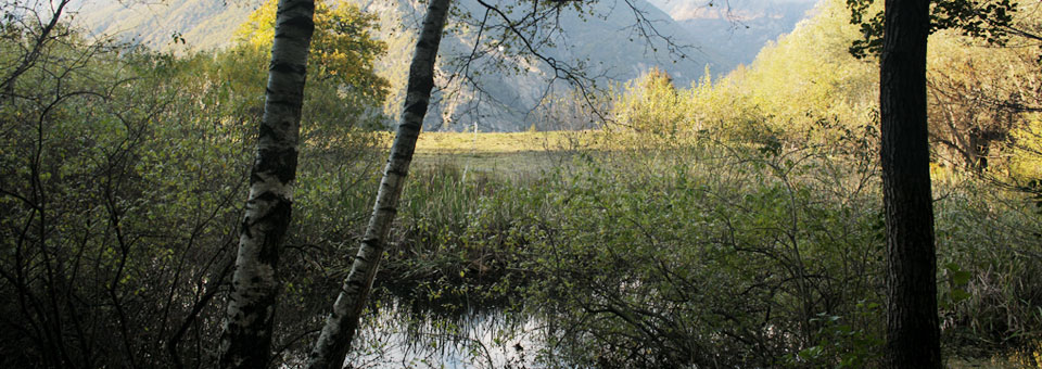 riserve naturali pont saint martin