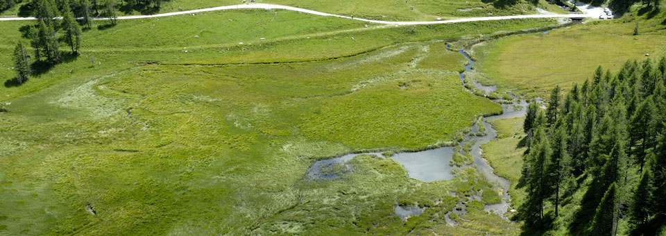 lo ditor riserve naturali valle d aosta