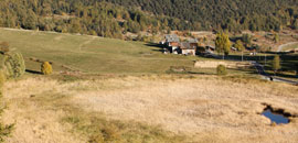 The Loson Pond Natural Reserve