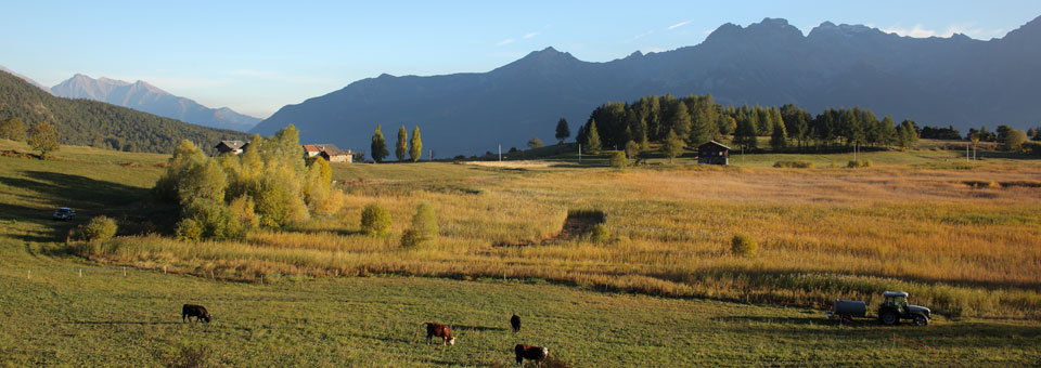 stagno loson valle d aosta