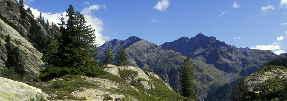 valle aosta combe thuillette