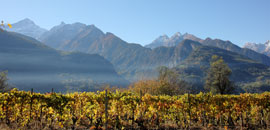 Ambienti xerici di Mont Torretta-Bellon