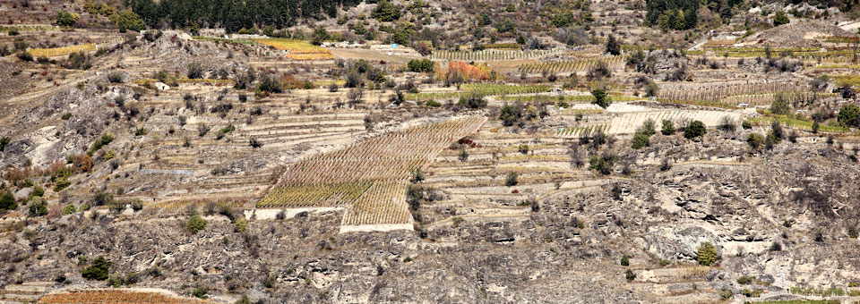 sarre valle d aosta