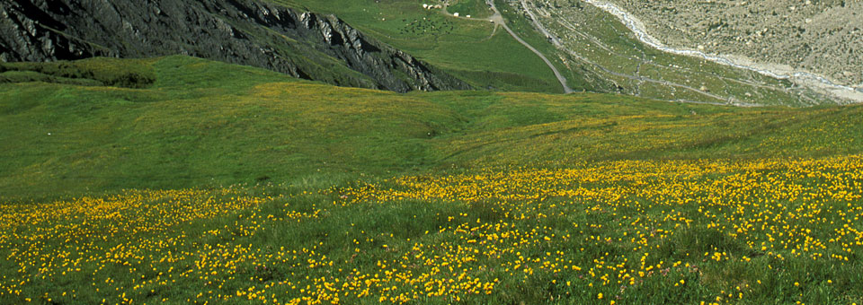 ferret valle d aosta