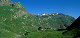Environnements de haute altitude du Valgrisenche