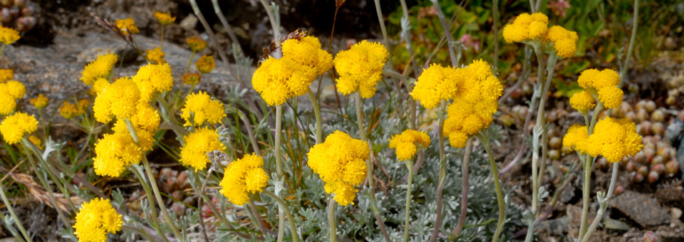 rhemes gran paradiso valle aosta