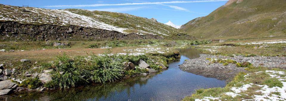 urtier gran paradiso valle aosta