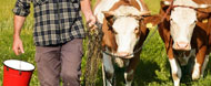 Agricoltura di montagna