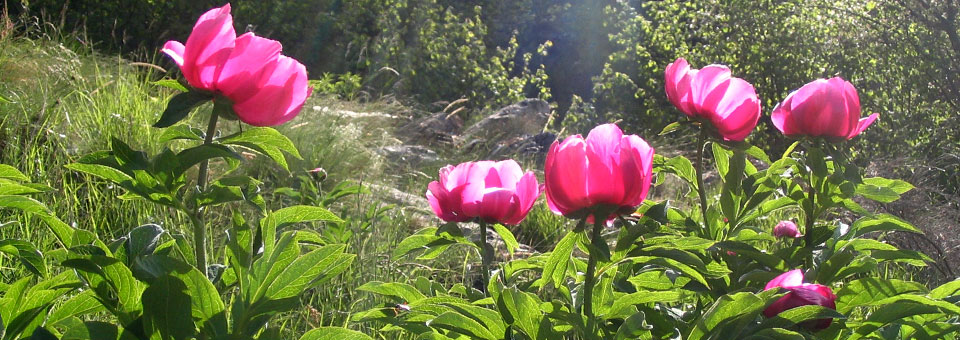 trekking valle aosta