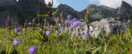 Il Gran San Bernardo. A 360 gradi.