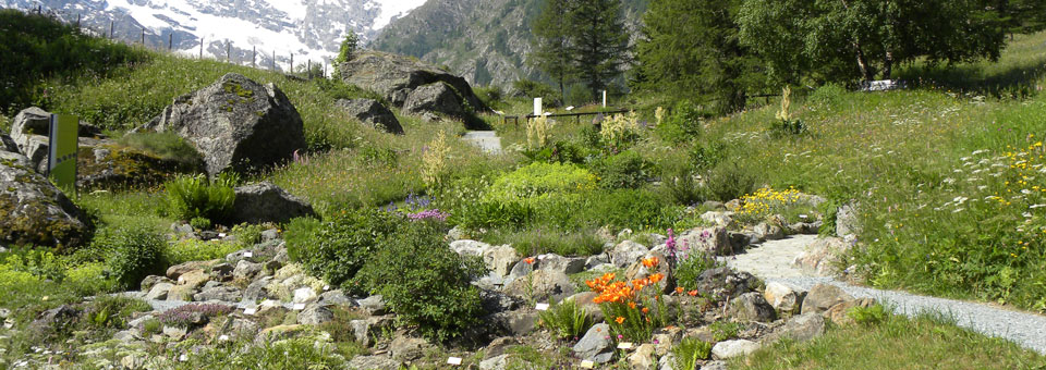 escursioni gran paradiso 