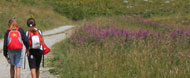 Workshops in the § Gran Paradiso National Park