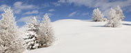 Séjours de neige