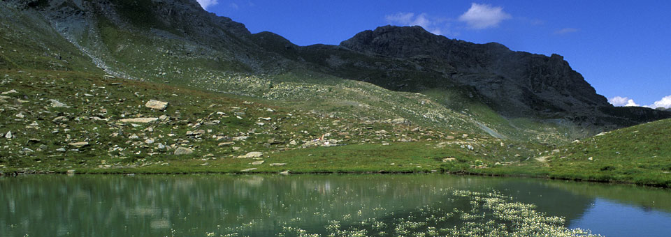 passeggiate cavallo valle aosta