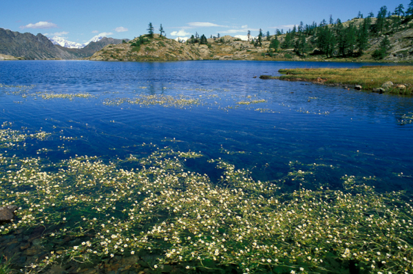 Lago del Mont Avic in primavera