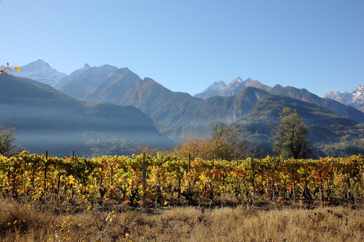 Mont Torretta - Bellon