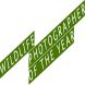 WILDLIFE PHOTOGRAPHER