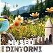 MUSEO E DINTORNI