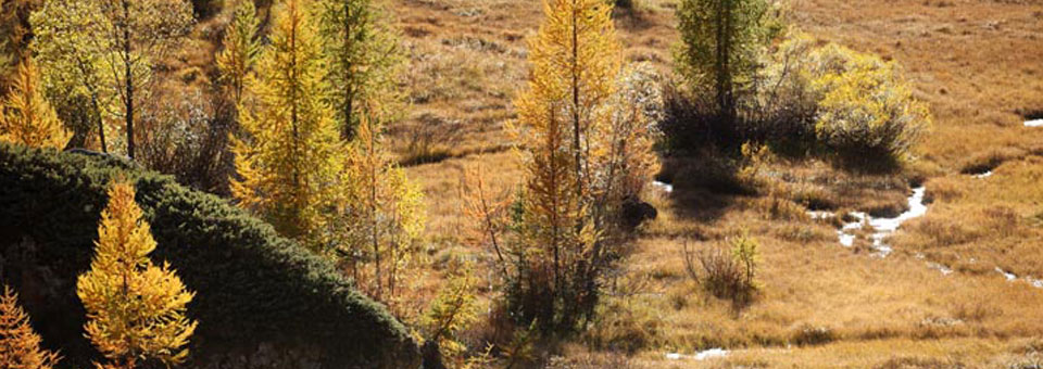 val ferret courmayeur