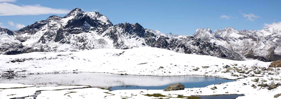 urtier gran paradiso